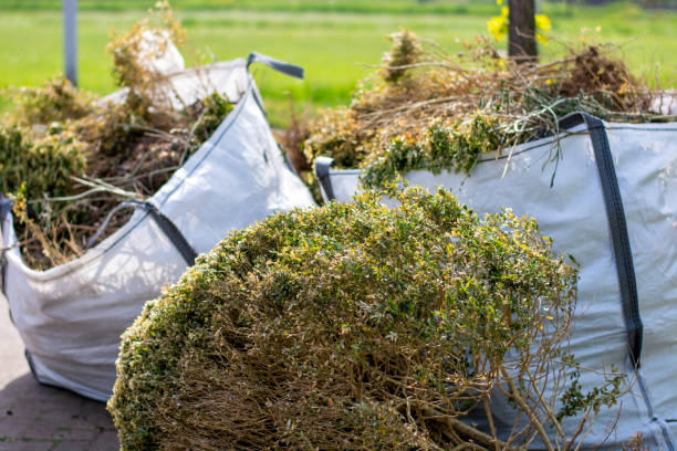 Best Electronics and E-Waste Disposal  in View Park Windsor Hills, CA